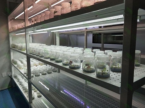 昆山植物组织培养实验室设计建设方案